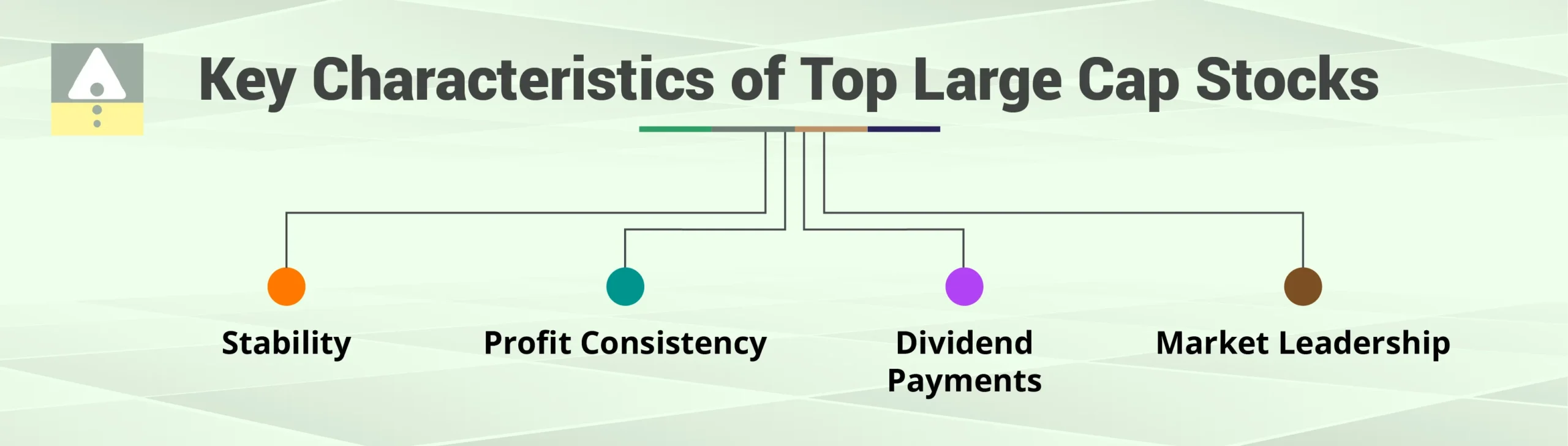 Key Characteristics of Top Large Cap Stocks